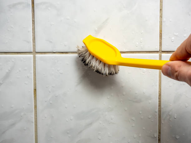 Luling, TX Mold Removal Company