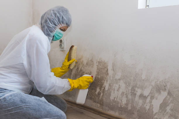 Best Residential Mold Removal  in Luling, TX