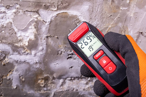 Best Office Mold Removal Services  in Luling, TX