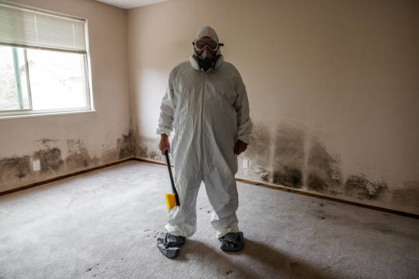 Trusted Luling, TX Mold Removal Experts