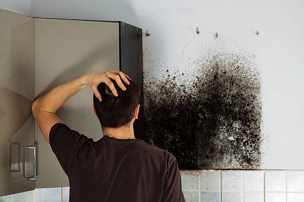 Best Crawl Space Mold Removal  in Luling, TX
